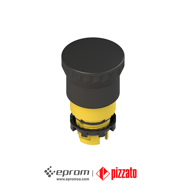E2 1pepz4511