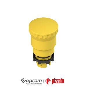 E2 1pepz4551