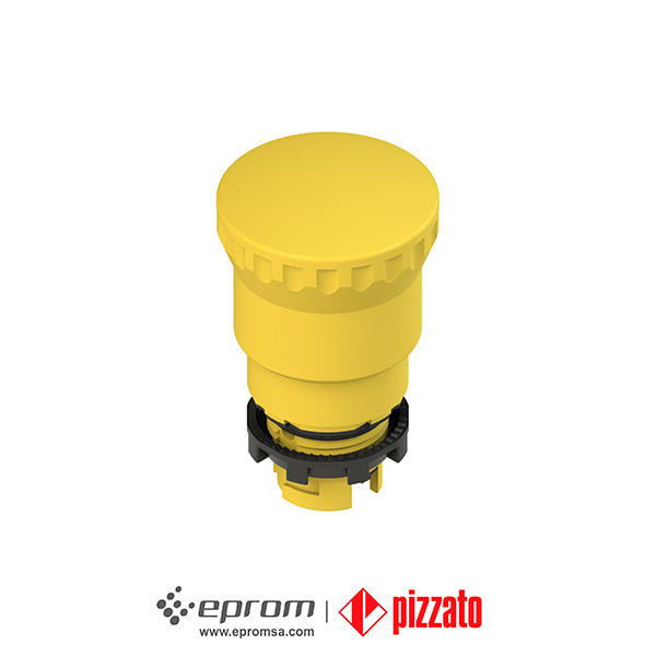 E2 1pepz4551